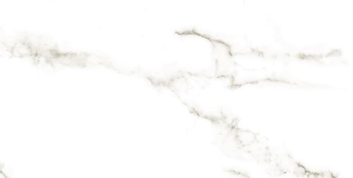 Dlažba Carrara lesk 60x120 cm
