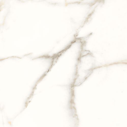 Dlažba Trilogy 0.3 calacatta white soft 100x100 cm