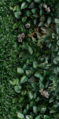Obklad Glam Greenwall 50x100 cm