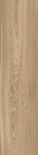 Dlažba Bio Select oak ginge 30x120 cm